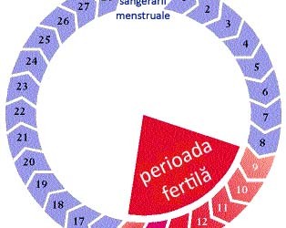 ciclu menstrual neregulat)