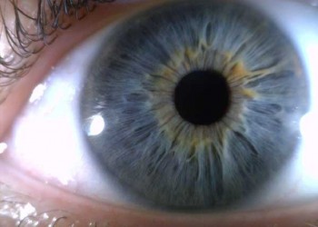 Care e rezoluția ochiului uman? Mult mai mulți megapixeli decât credeai! (Video)