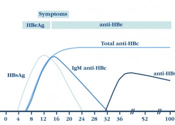 Any Situation Conversely Interpretarea testelor serologice în hepatita virală B | Speciale | Analize