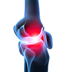 durere la nivelul articulațiilor șoldului și genunchilor
